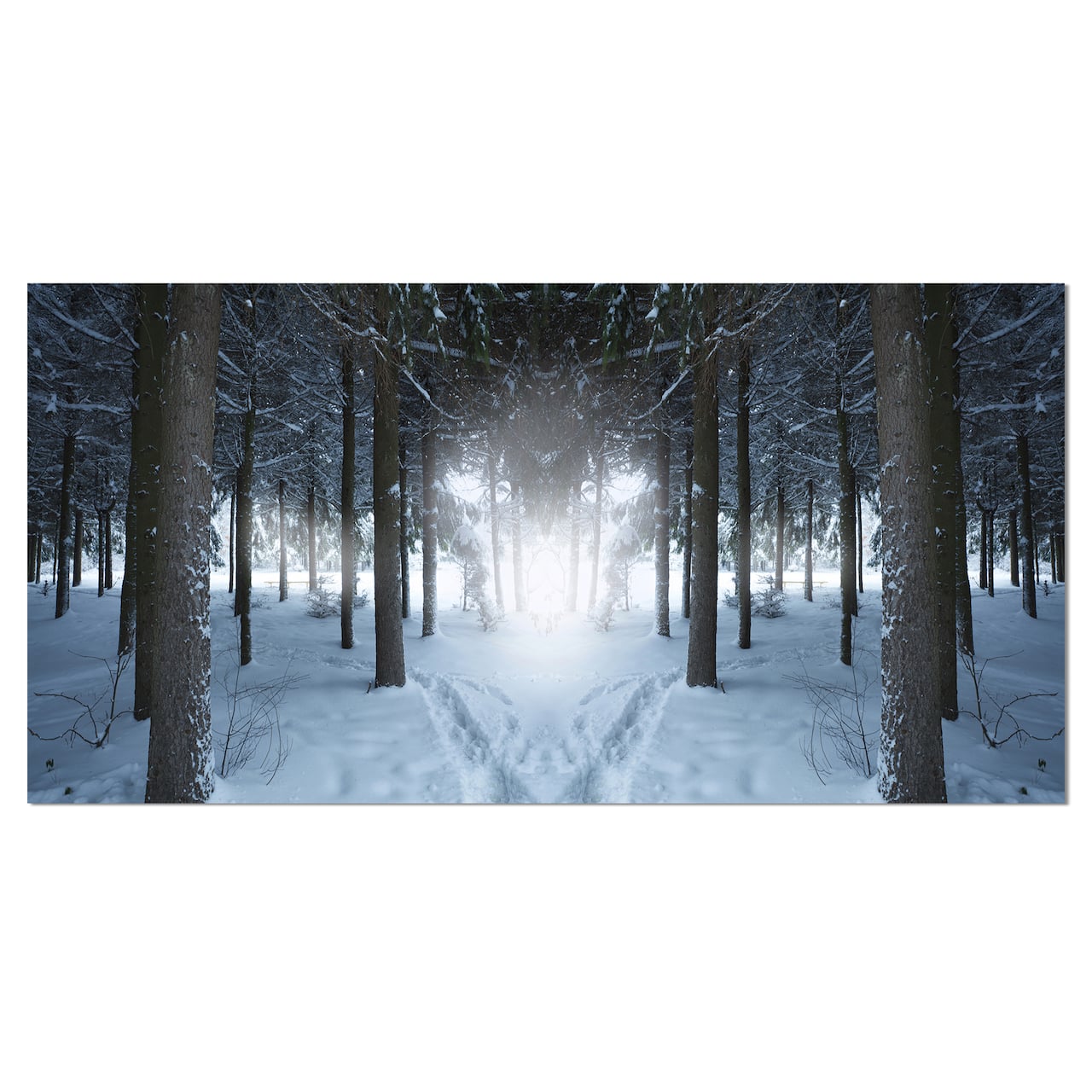 Designart - Winter Forest with Dark Woods - Landscape Canvas Art Print